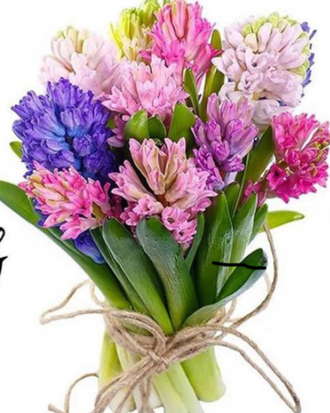 Букет из гиацинтов 1шт-150 руб